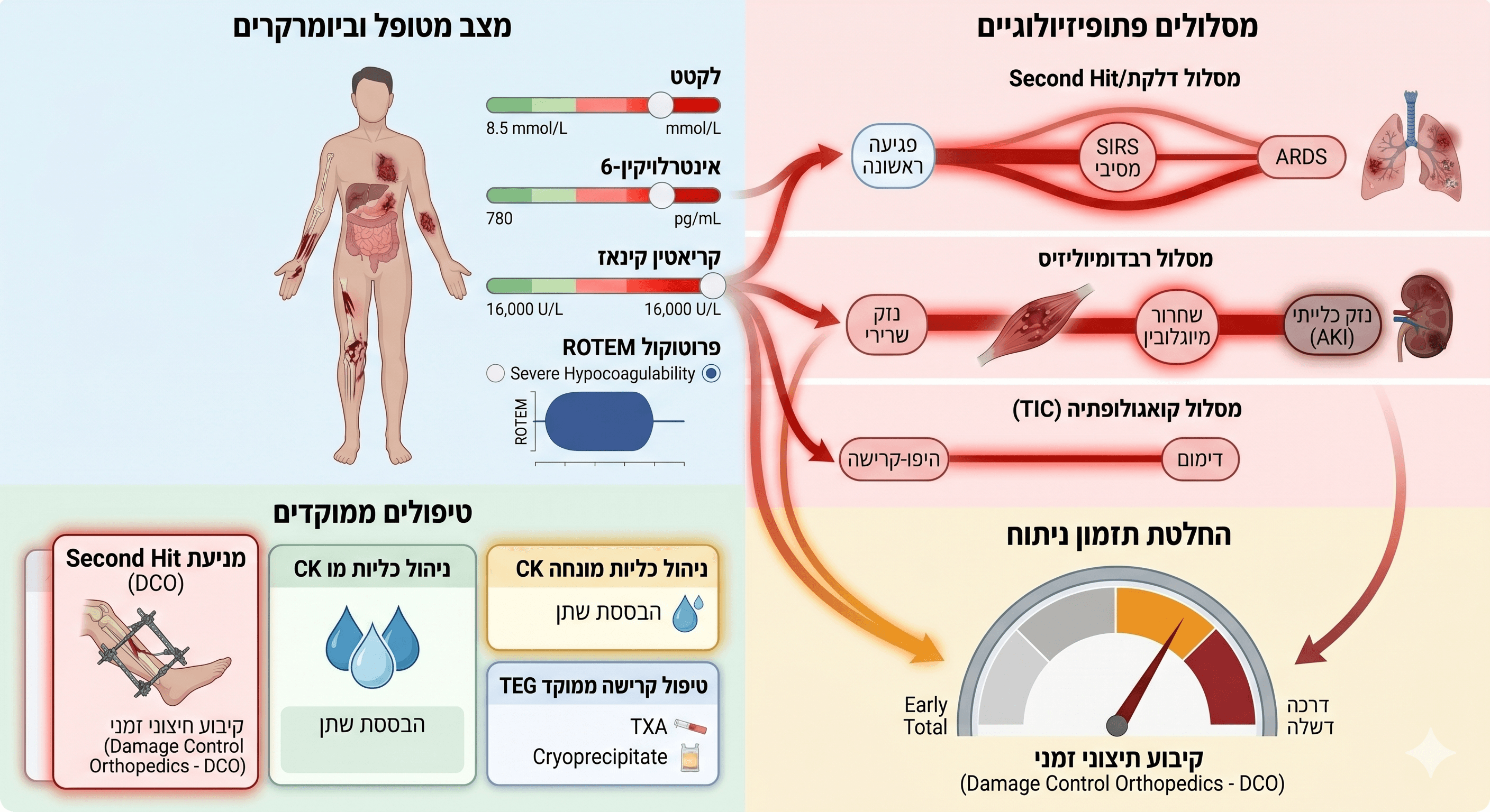 הבדיקה שרואה את מה שהעין מפספסת: המהפכה השקטה בטיפול בפציעות מורכבות