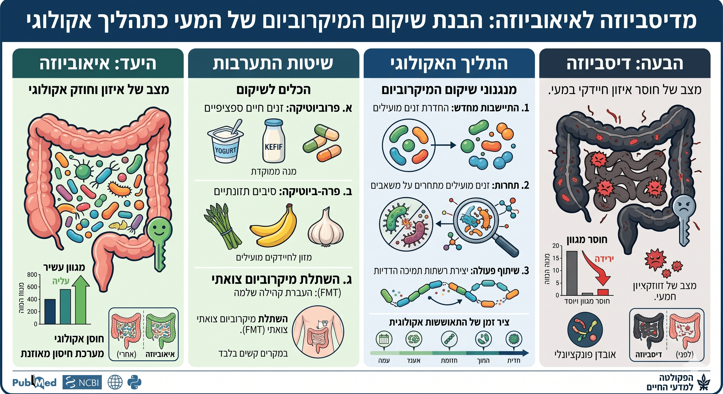 הבטן שלכם לא חוזרת לעצמה? ייתכן שאתם מנסים את הדבר הלא נכון